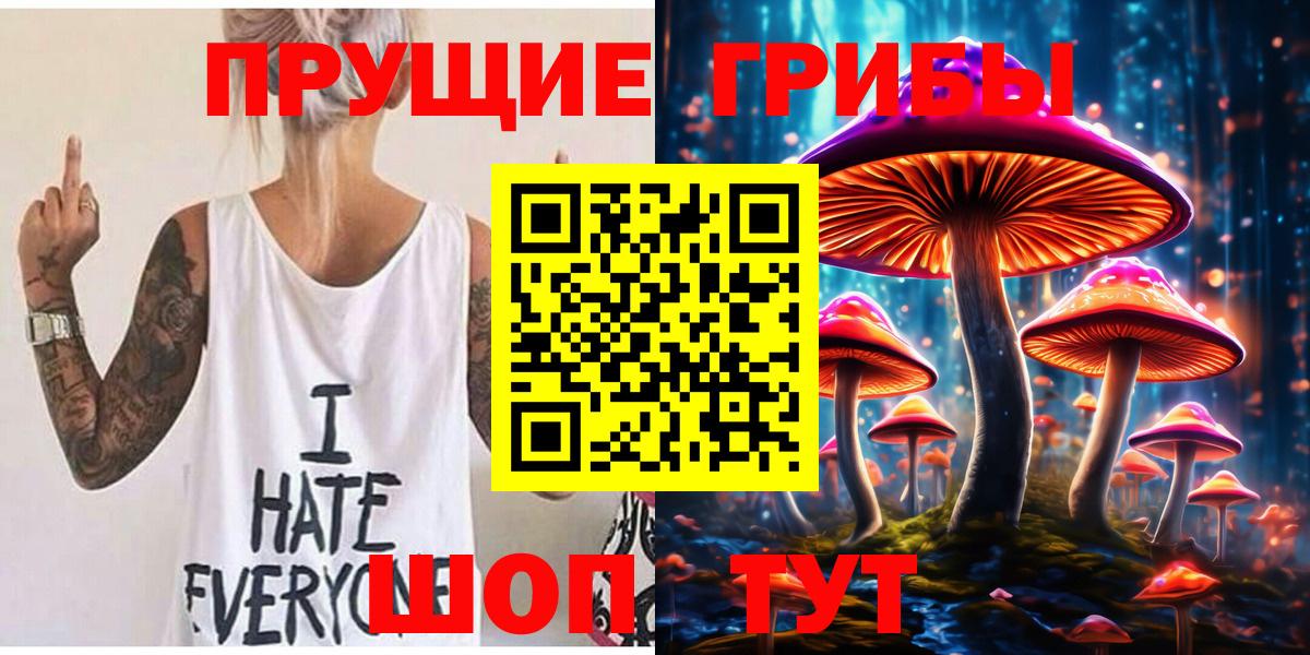 Псилоцибиновые грибы Cubensis  Вход с VPN  Нальчик 